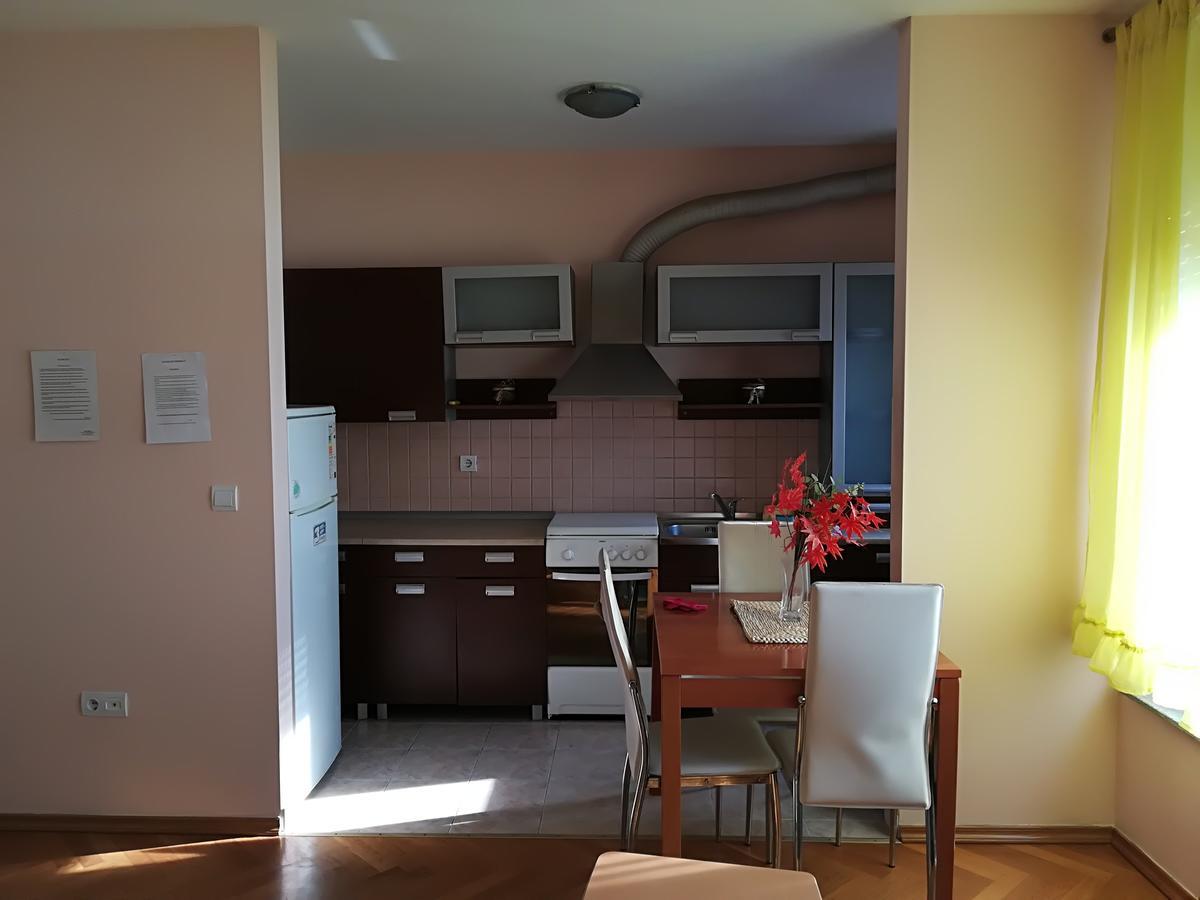 Guesthouse Sava Славонски-Брод Экстерьер фото