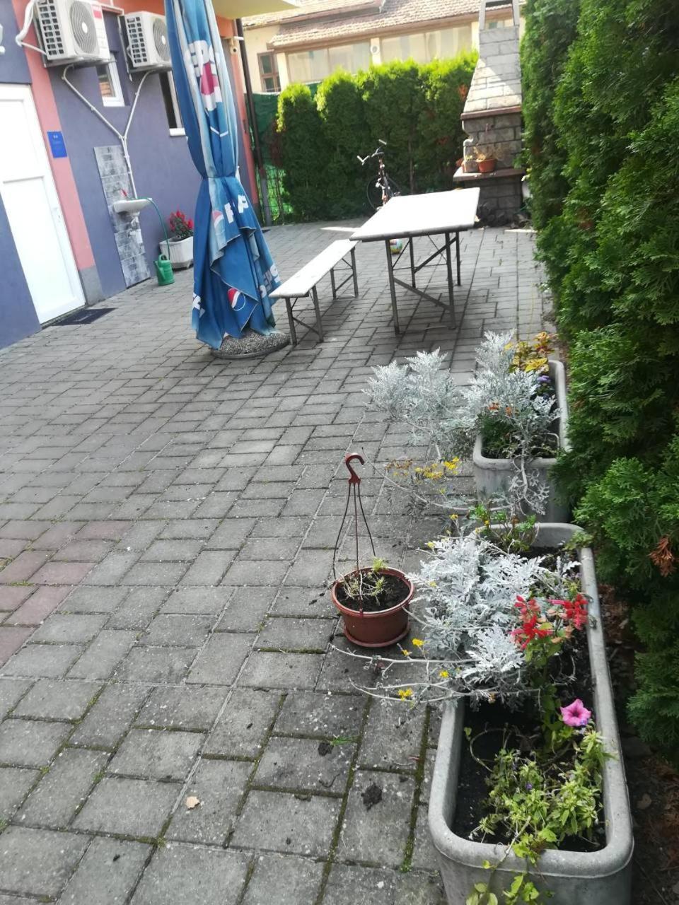 Guesthouse Sava Славонски-Брод Экстерьер фото