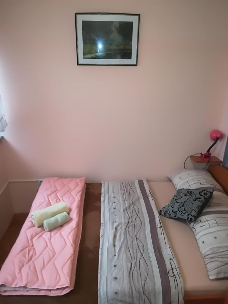Guesthouse Sava Славонски-Брод Экстерьер фото